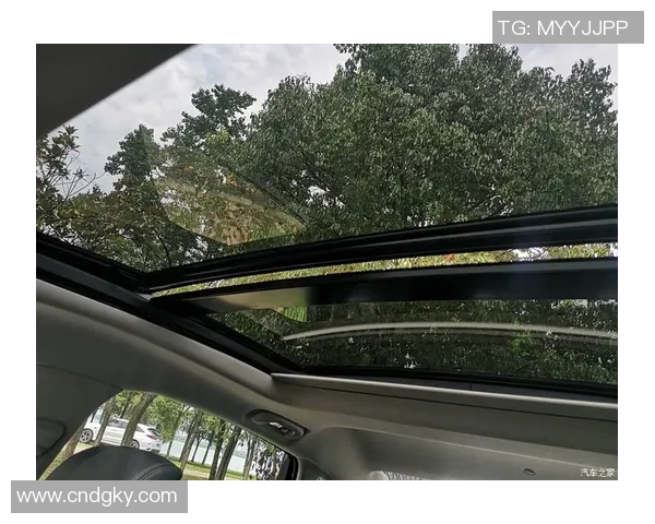 武汉街舞队灵活性分析与发展潜力探讨之路